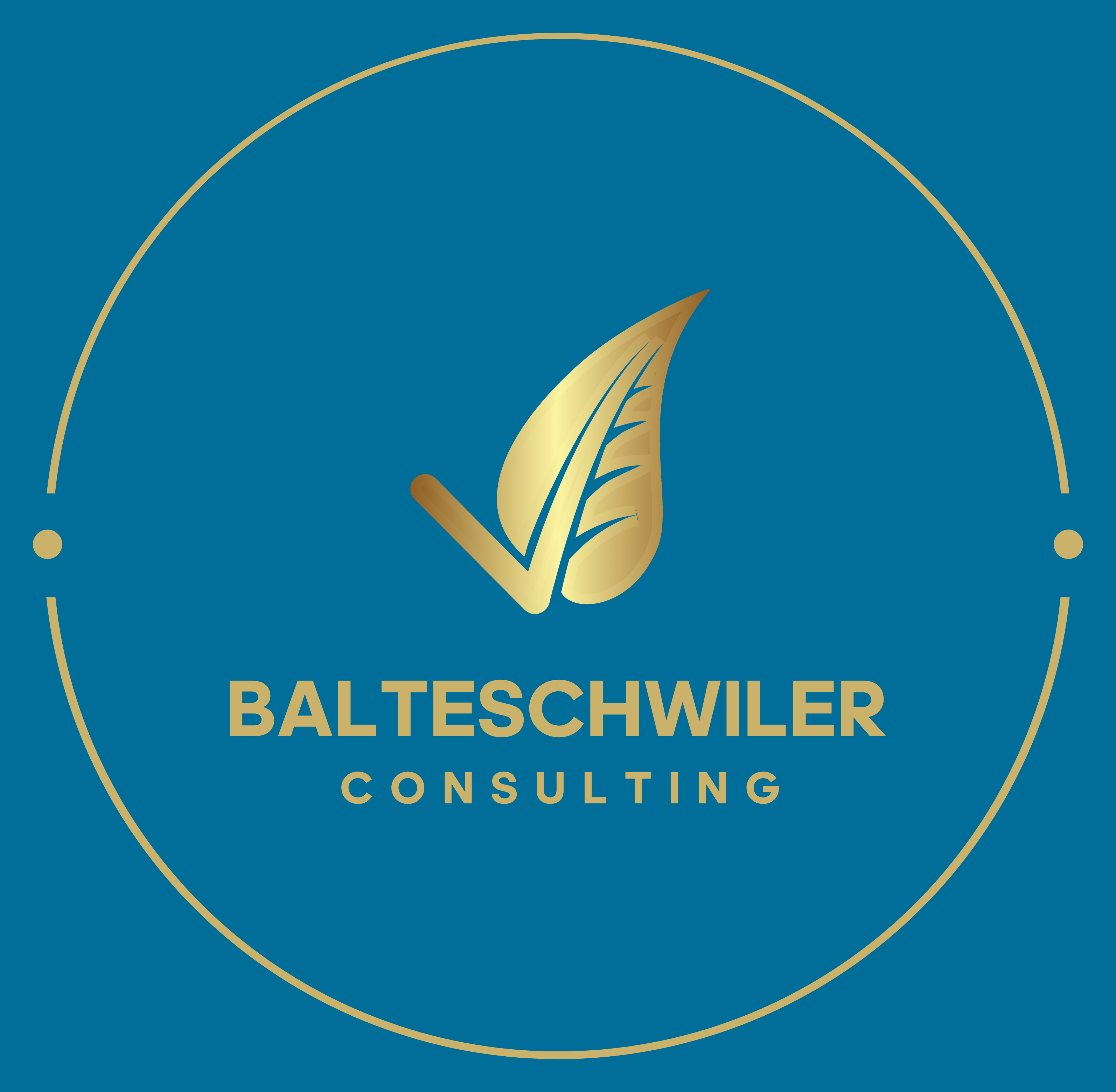 Logo Balteschwiler Consulting