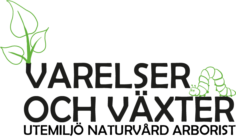 VoV logotype